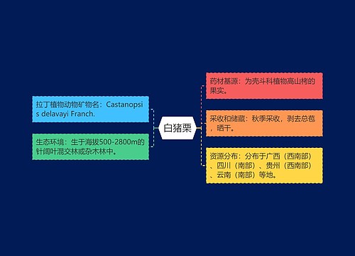 白猪栗