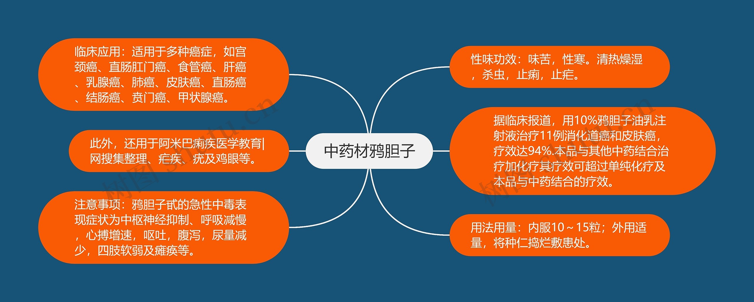 中药材鸦胆子思维导图