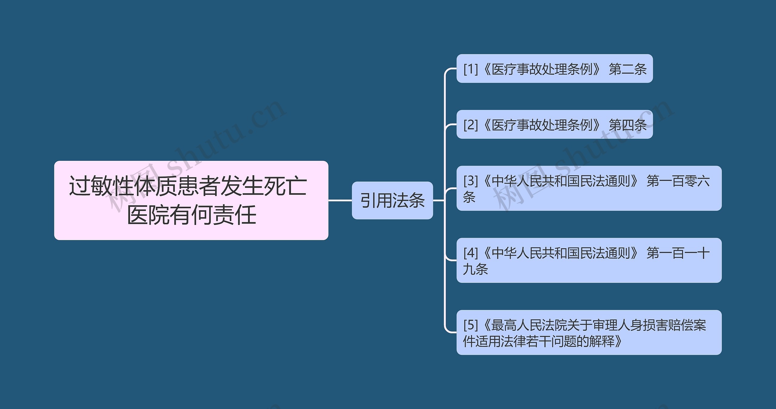 过敏性体质患者发生死亡 医院有何责任思维导图高清图 过敏性体质患者发生死亡 医院有何责任思维导图