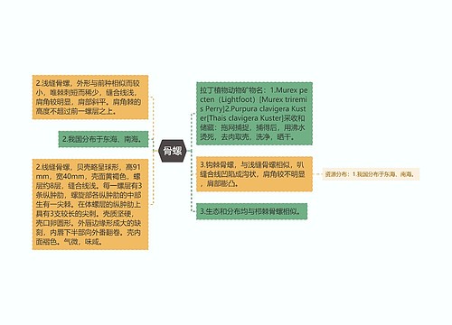 骨螺