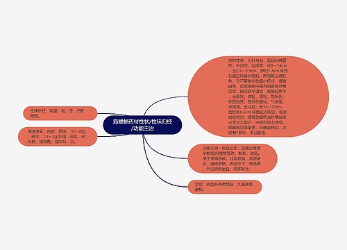 海螵蛸药材性状/性味归经/功能主治