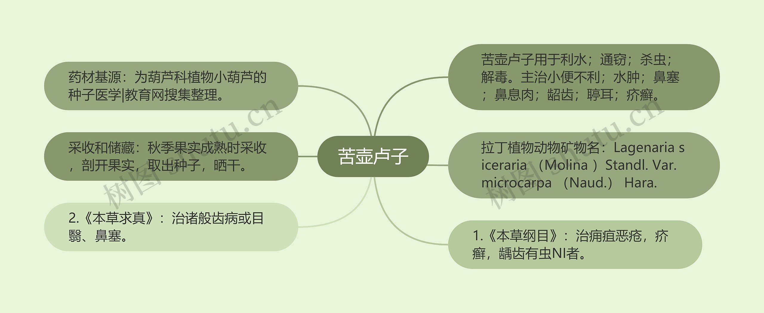 苦壶卢子 苦壶卢子