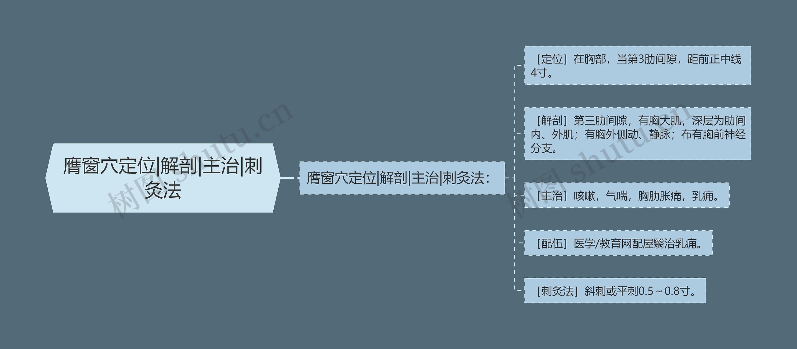 膺窗穴定位|解剖|主治|刺灸法思维导图