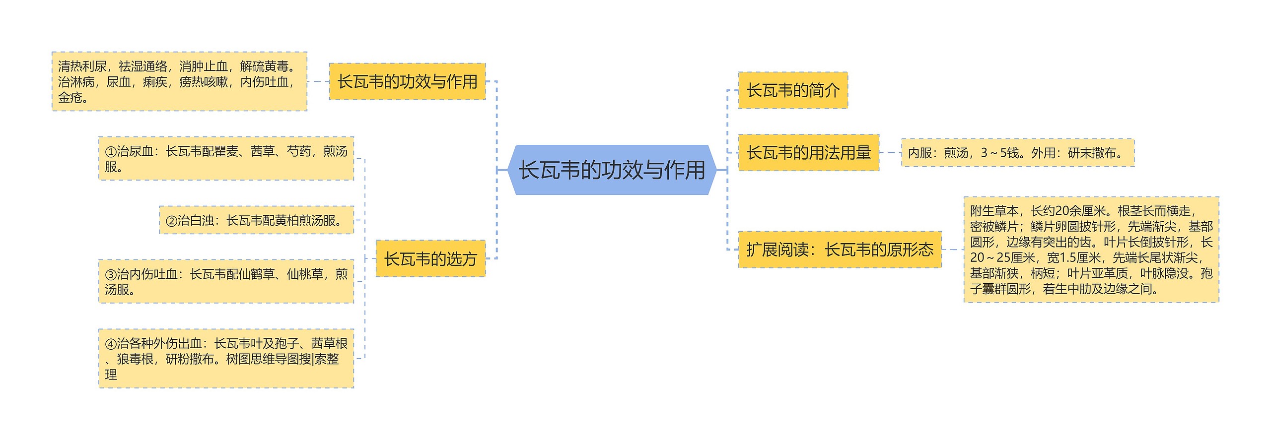 长瓦韦的功效与作用