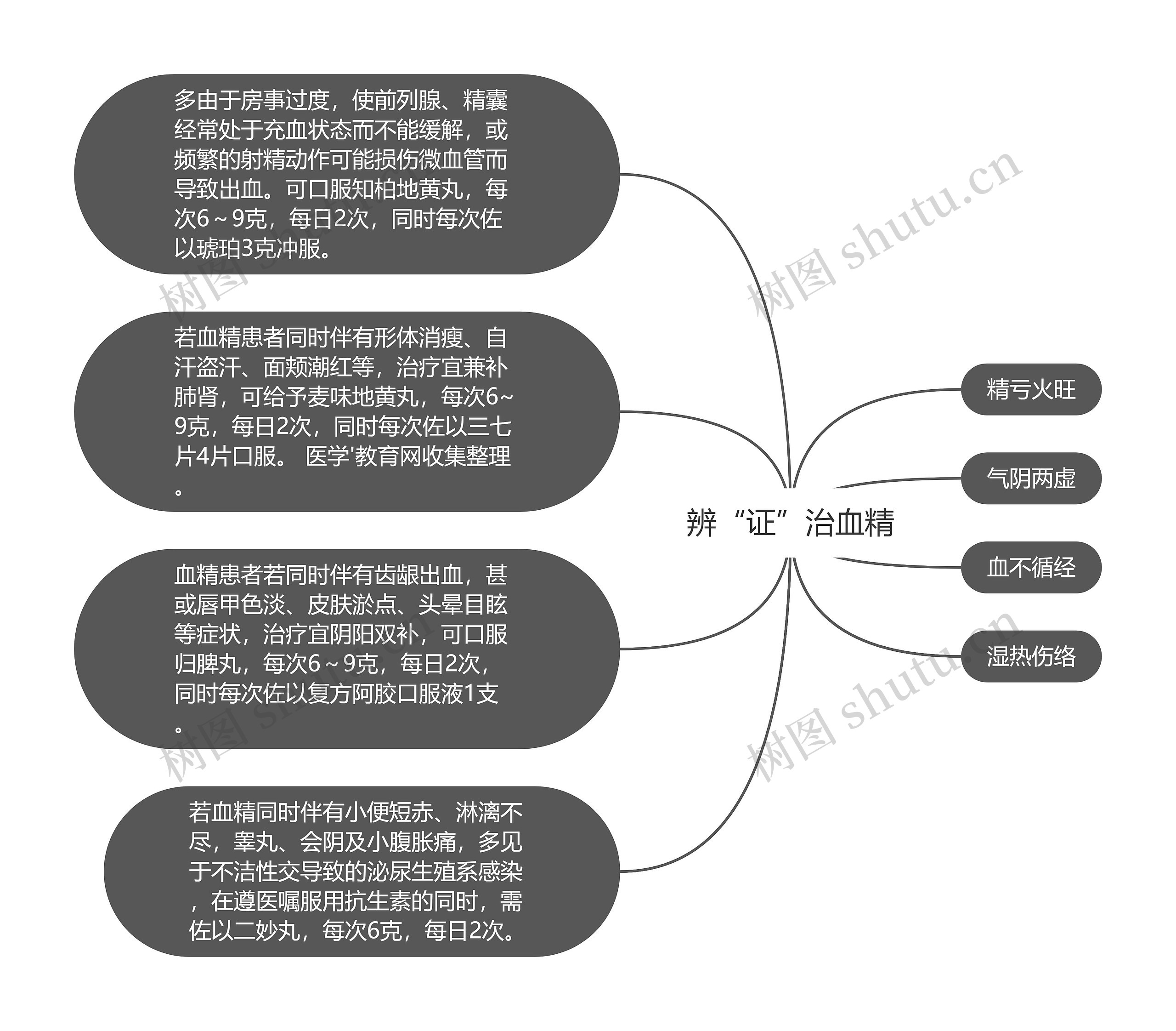 辨“证”治血精思维导图