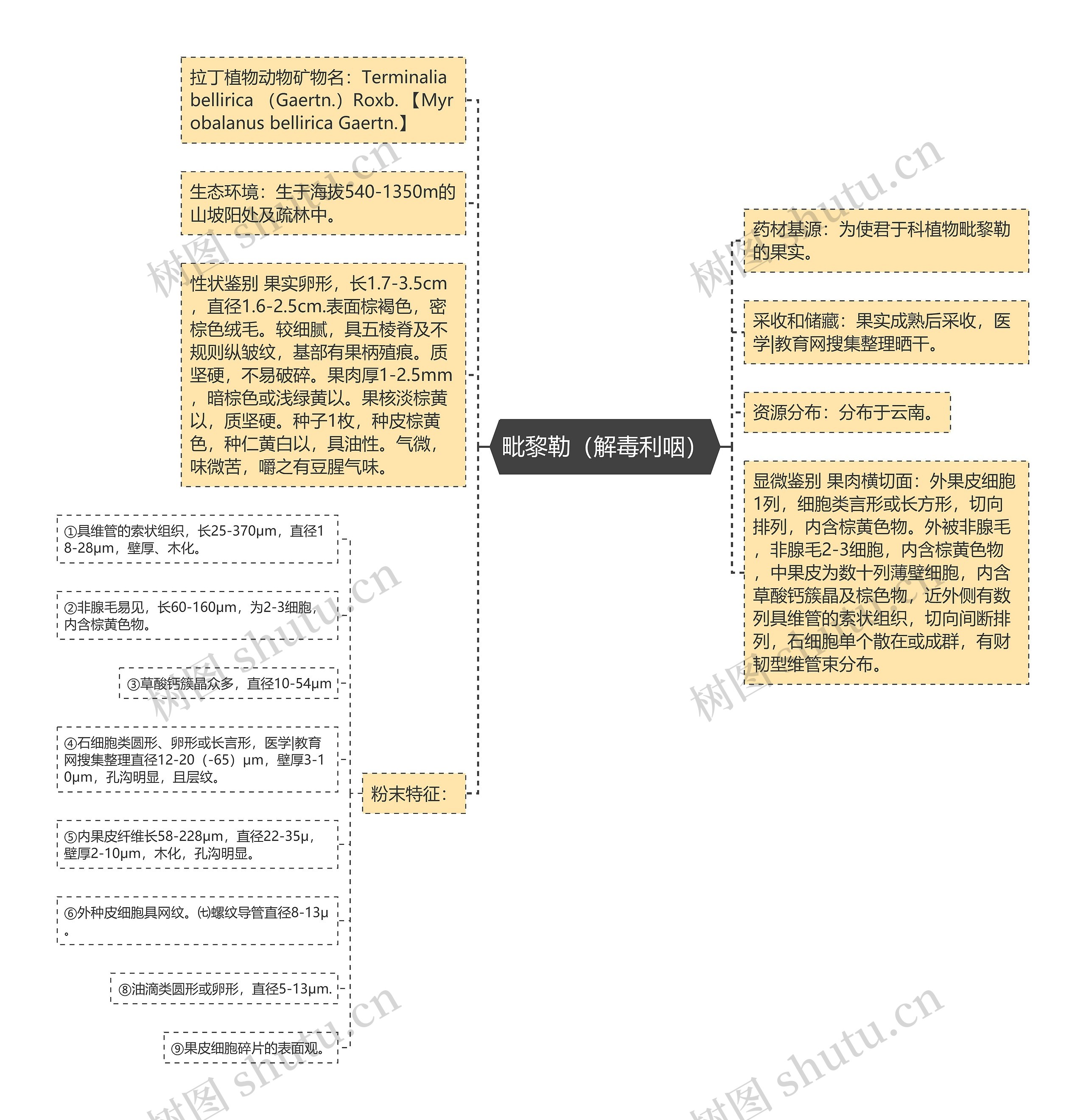 毗黎勒（解毒利咽）思维导图