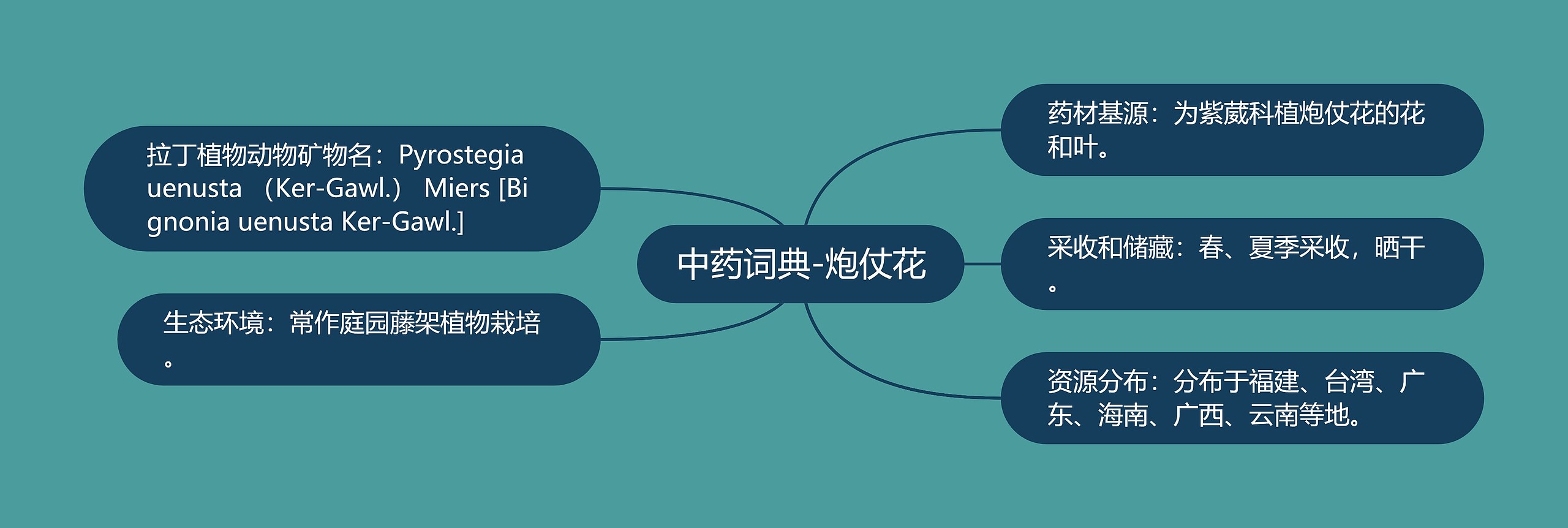 中药词典-炮仗花思维导图