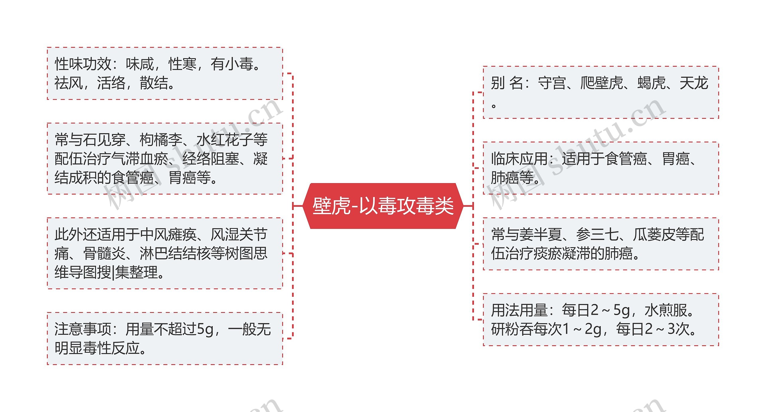 壁虎-以毒攻毒类