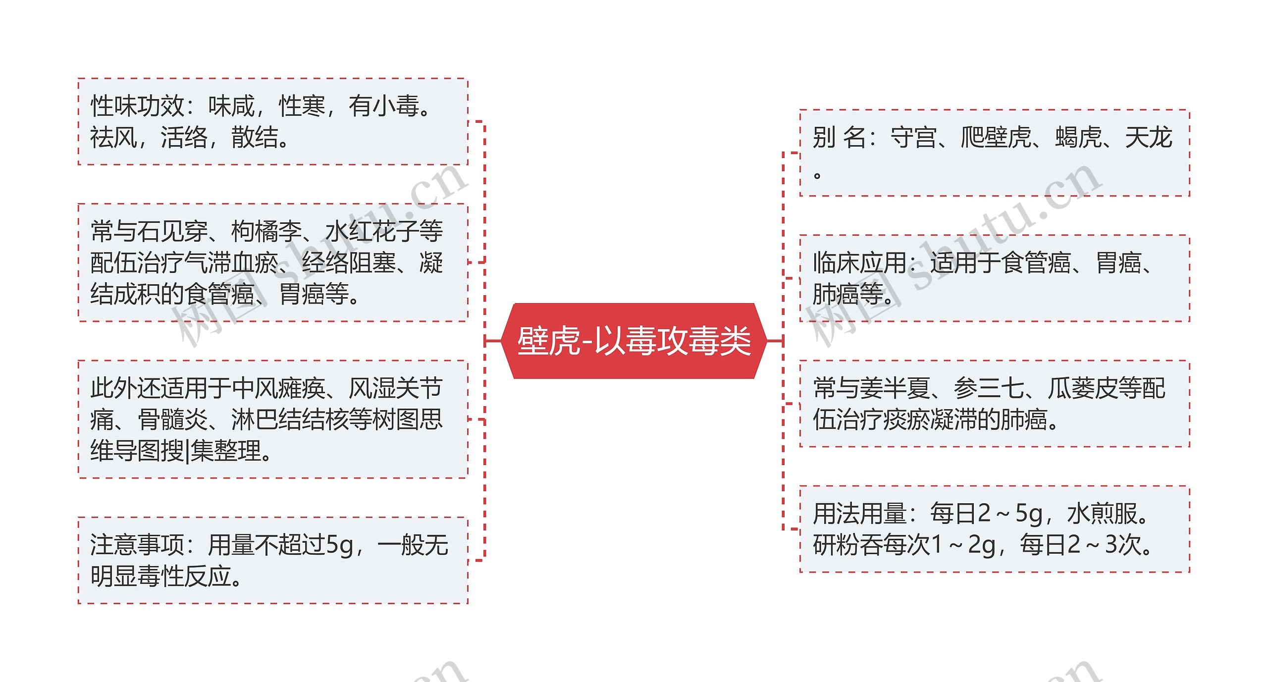 壁虎-以毒攻毒类思维导图