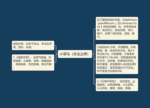 小草乌（杀虫止痒）