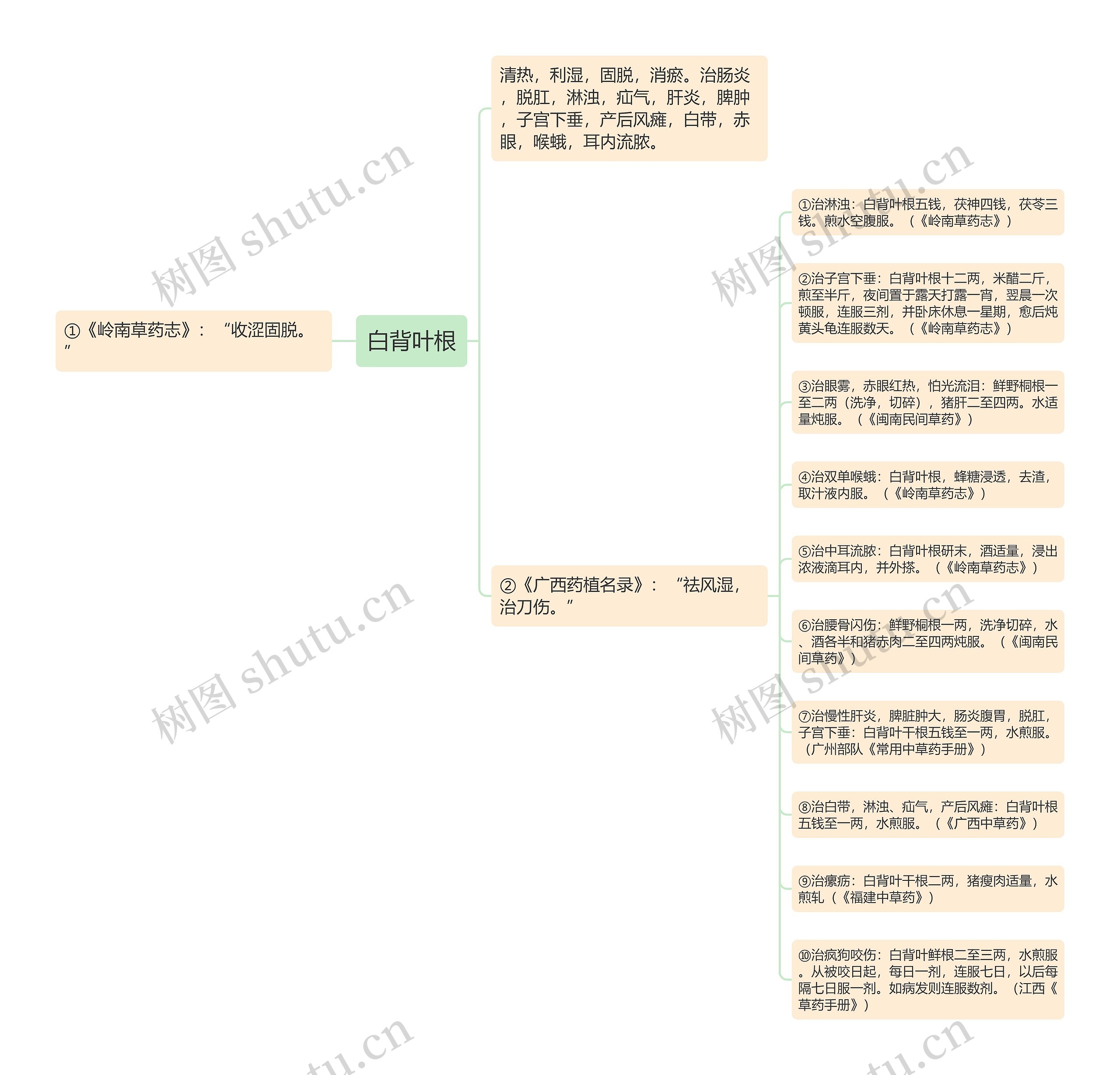 白背叶根思维导图