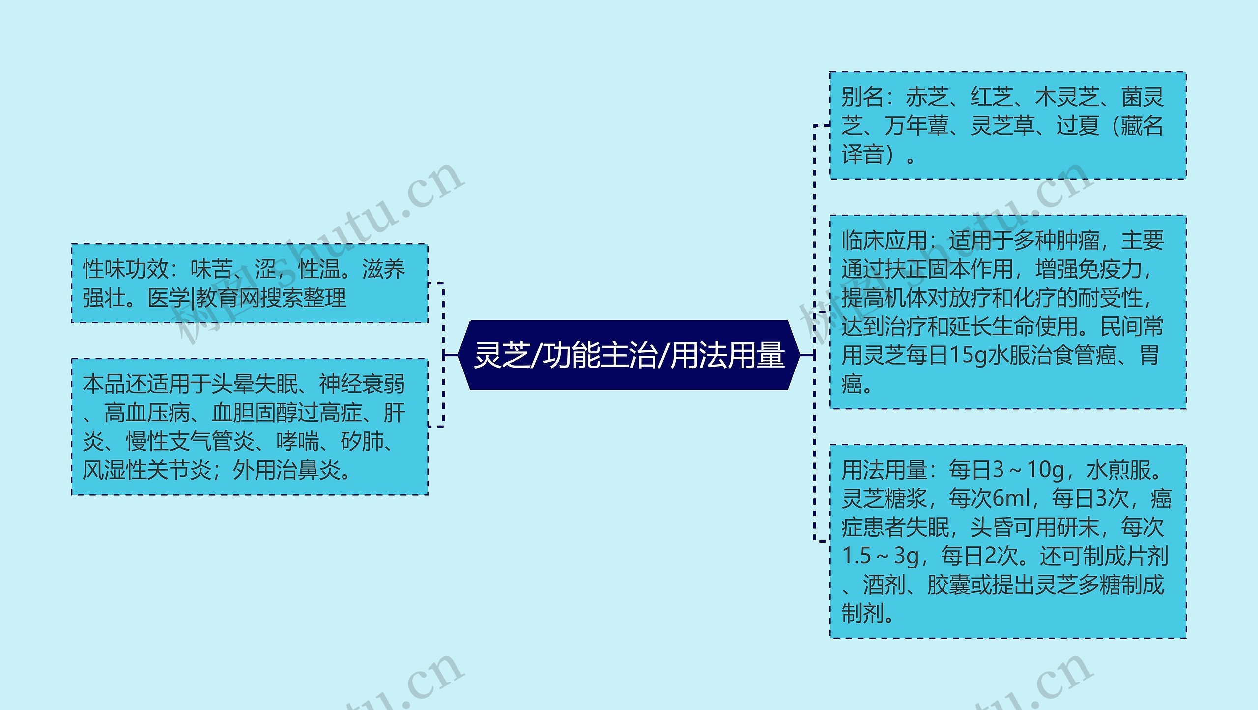 灵芝/功能主治/用法用量思维导图