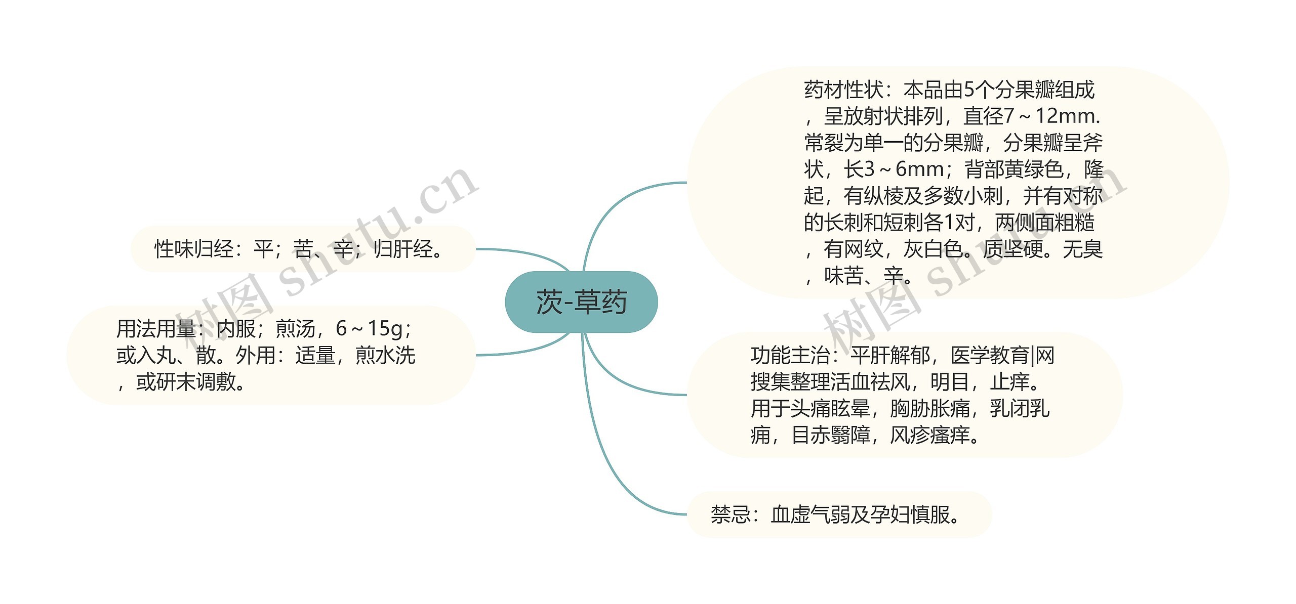 茨-草药思维导图