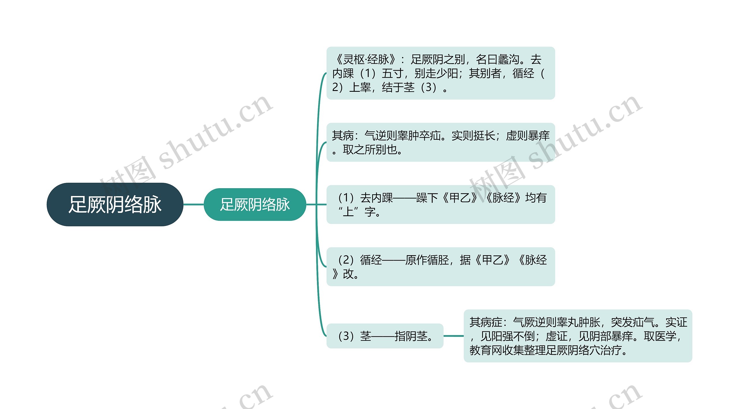 足厥阴络脉思维导图