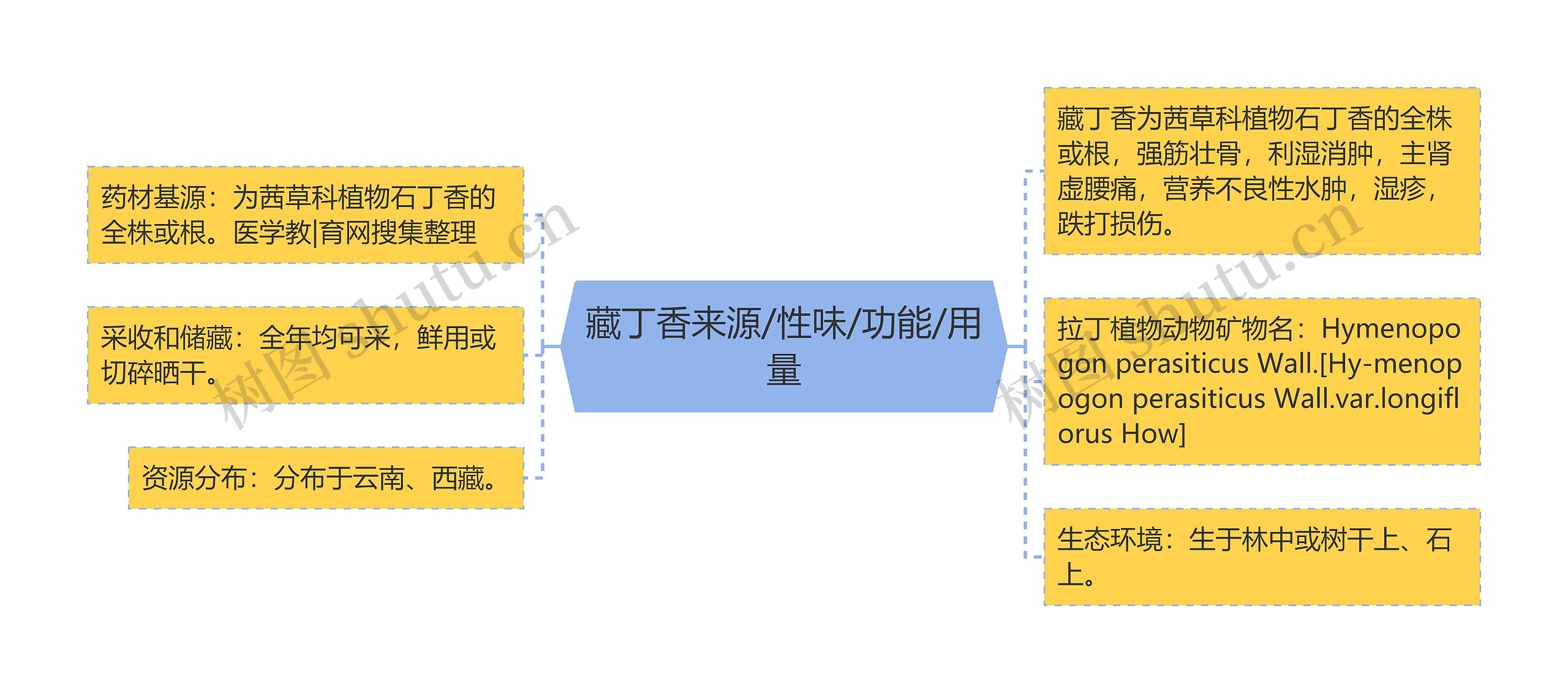 藏丁香来源/性味/功能/用量