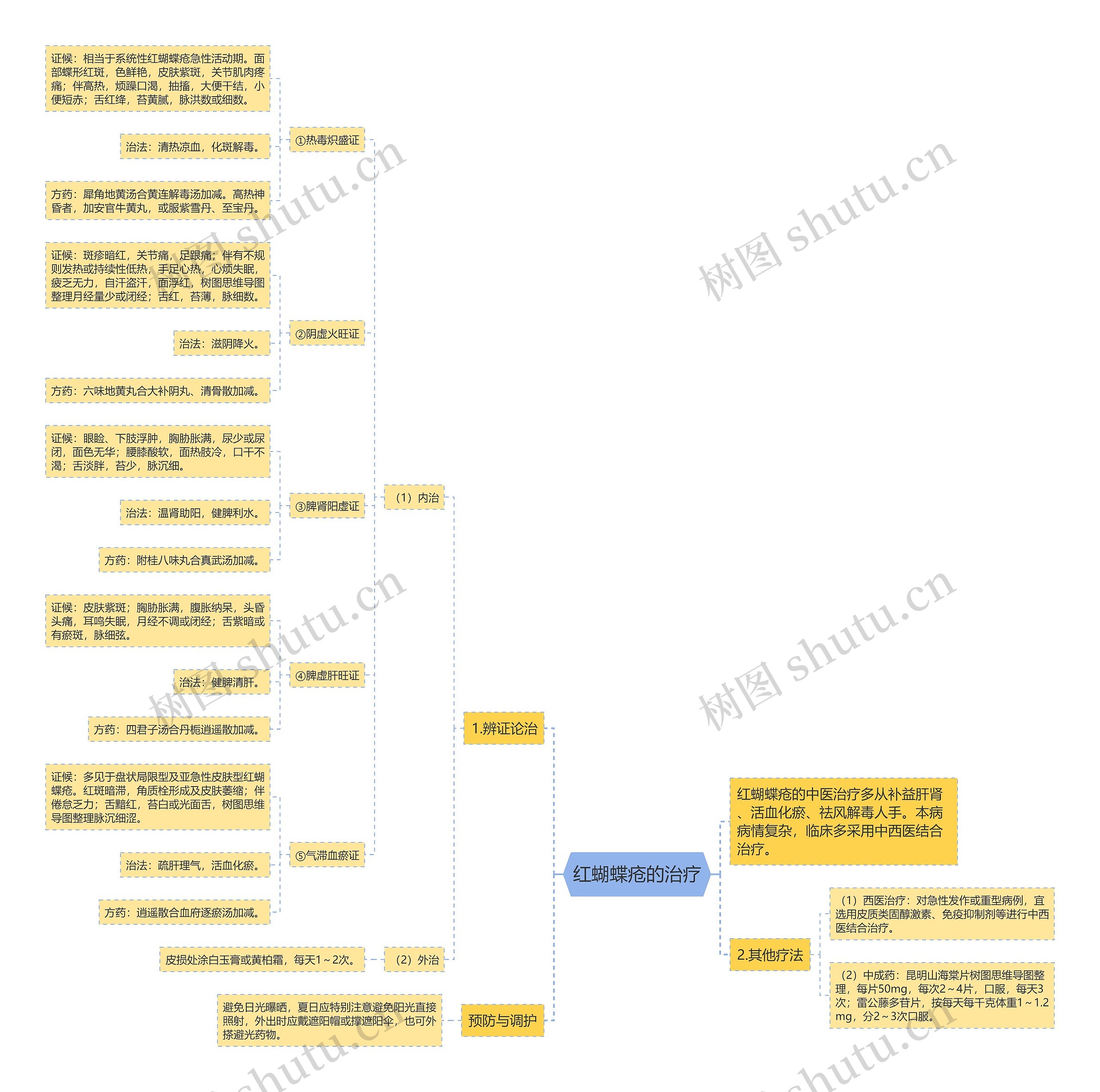 红蝴蝶疮的治疗思维导图