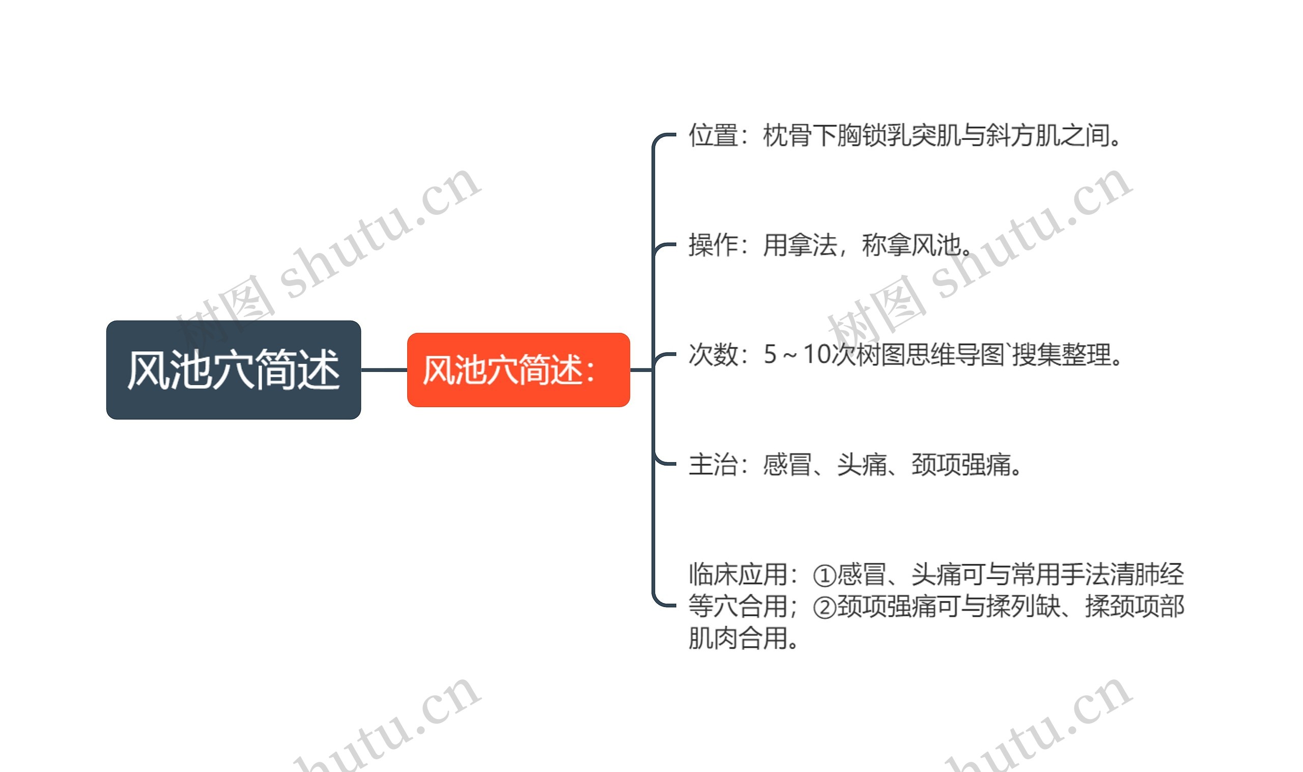 风池穴简述思维导图