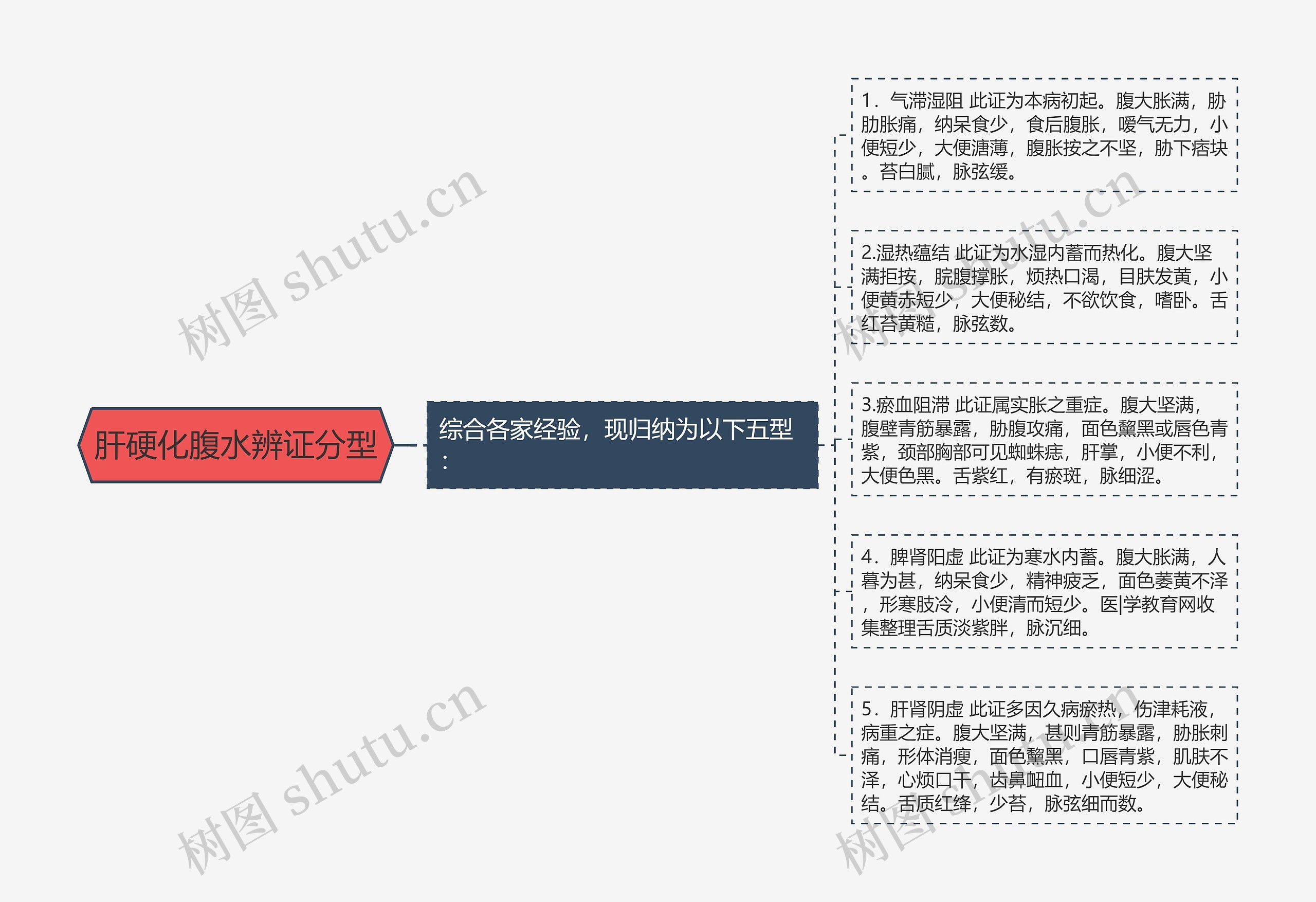 肝硬化腹水辨证分型