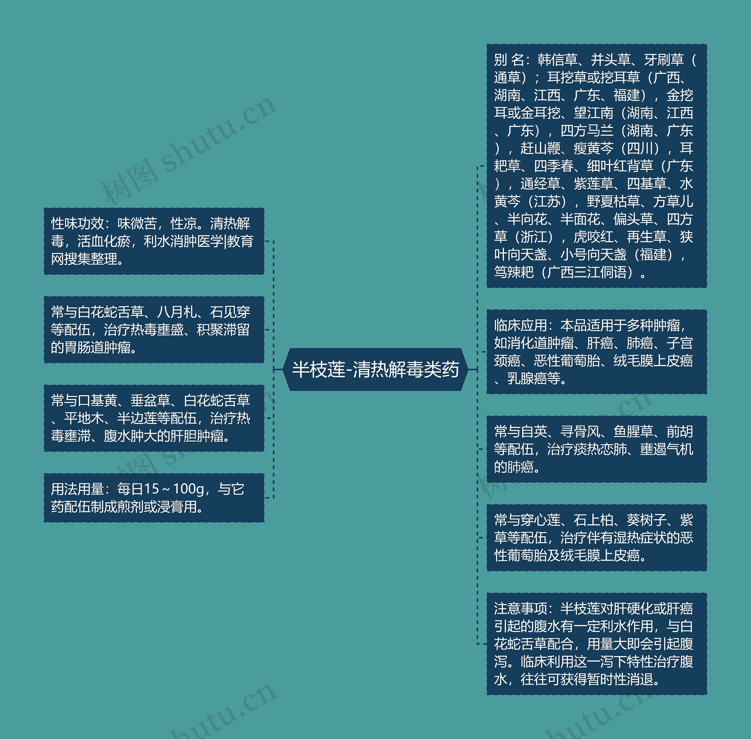 半枝莲-清热解毒类药思维导图