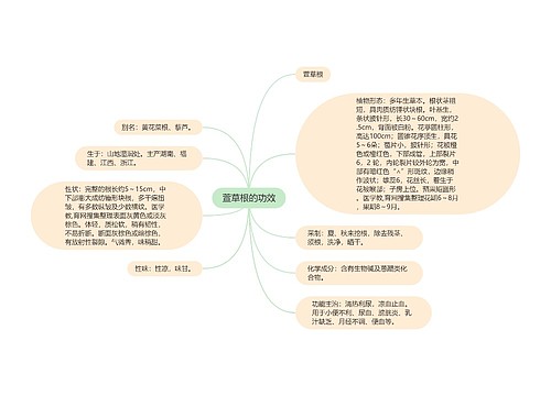 萱草根的功效思维导图