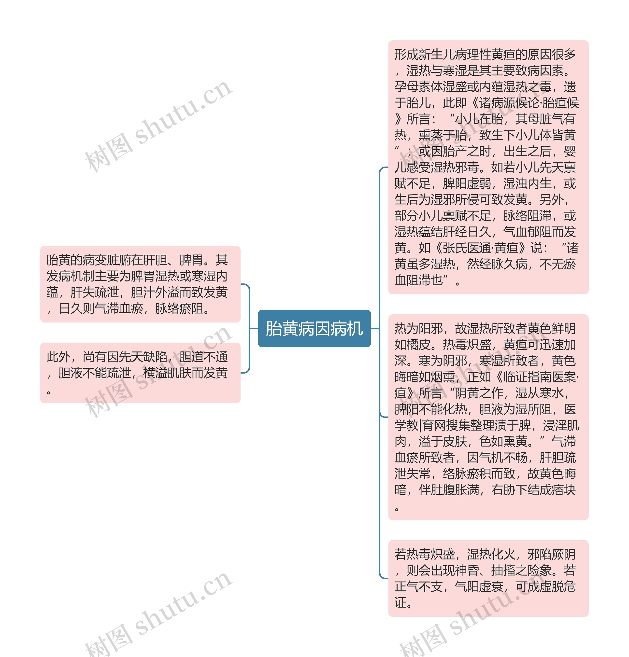 胎黄病因病机思维导图