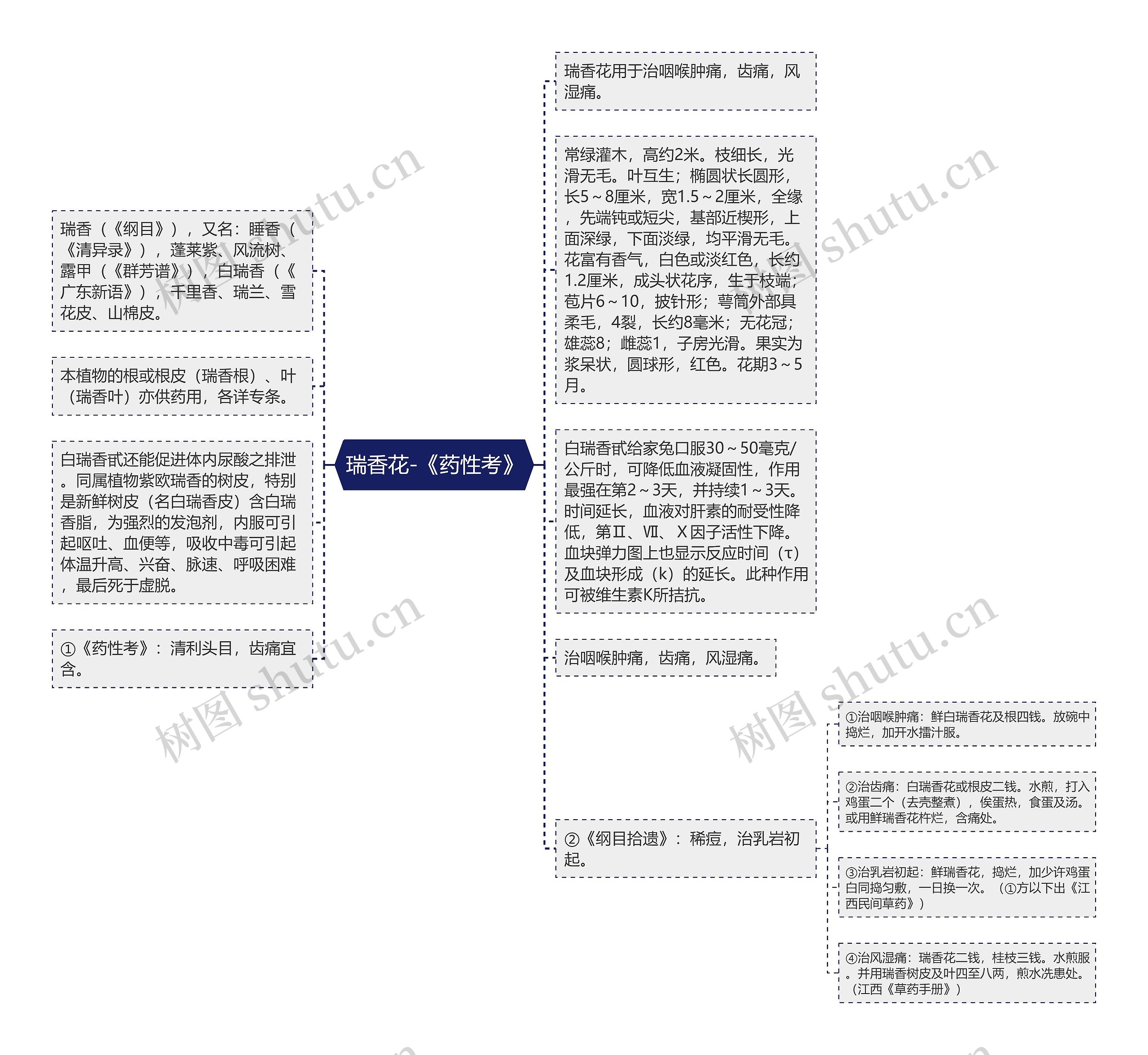 瑞香花-《药性考》思维导图