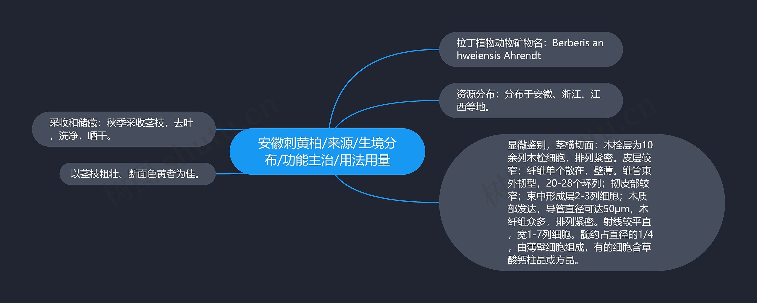 安徽刺黄柏/来源/生境分布/功能主治/用法用量