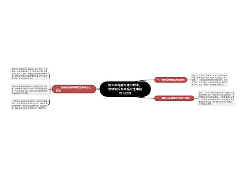 狗未牵绳被车撞出数米，宠物狗没有牵绳发生事故怎么处理