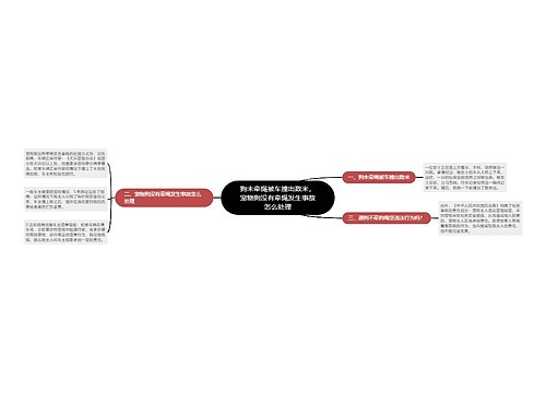 狗未牵绳被车撞出数米，宠物狗没有牵绳发生事故怎么处理