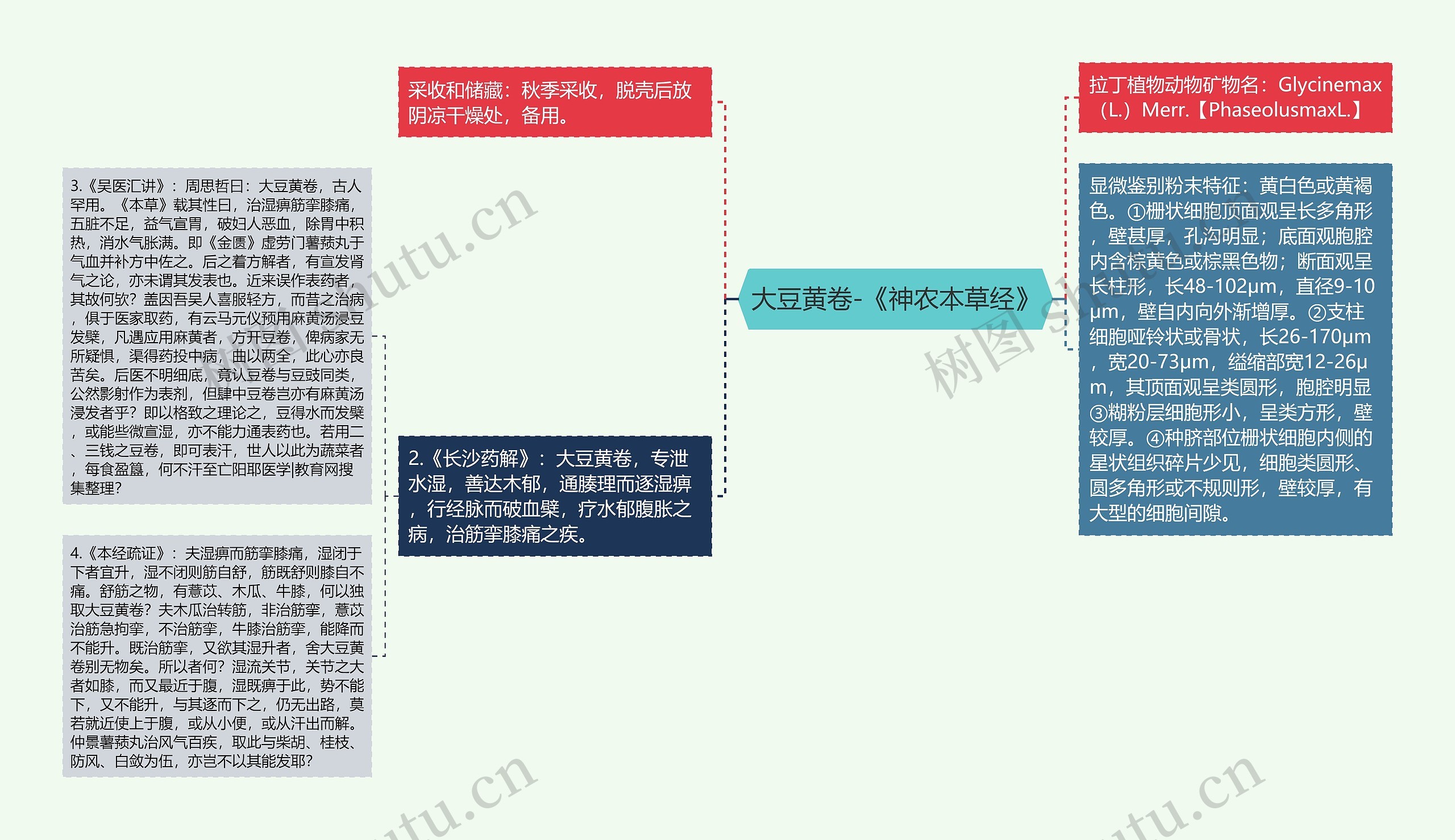 大豆黄卷-《神农本草经》思维导图