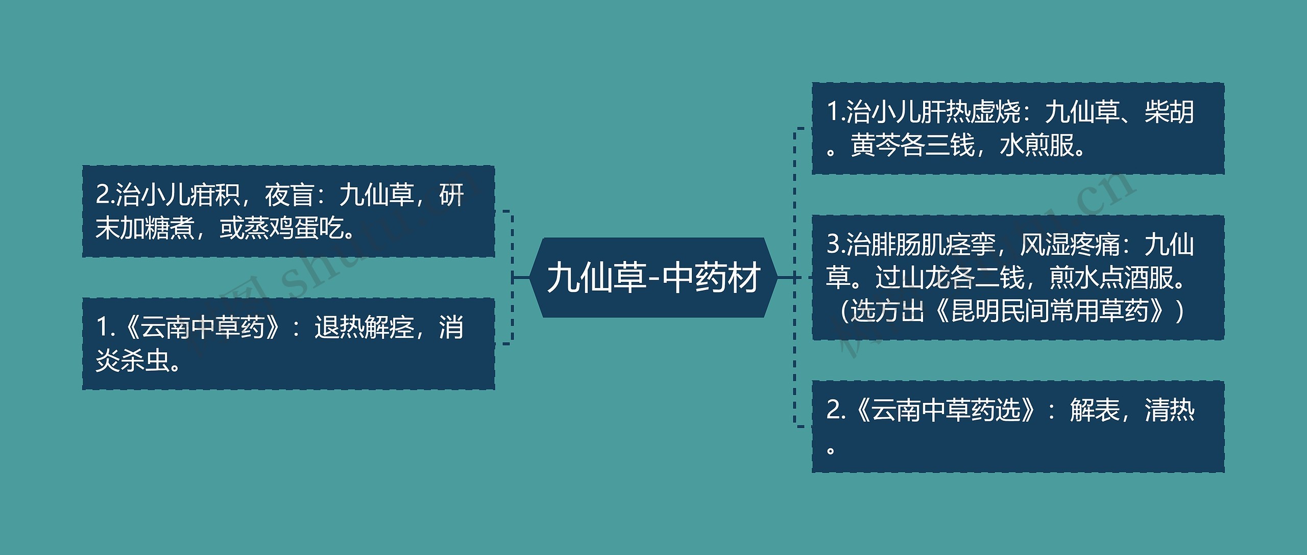九仙草-中药材 九仙草-中药材