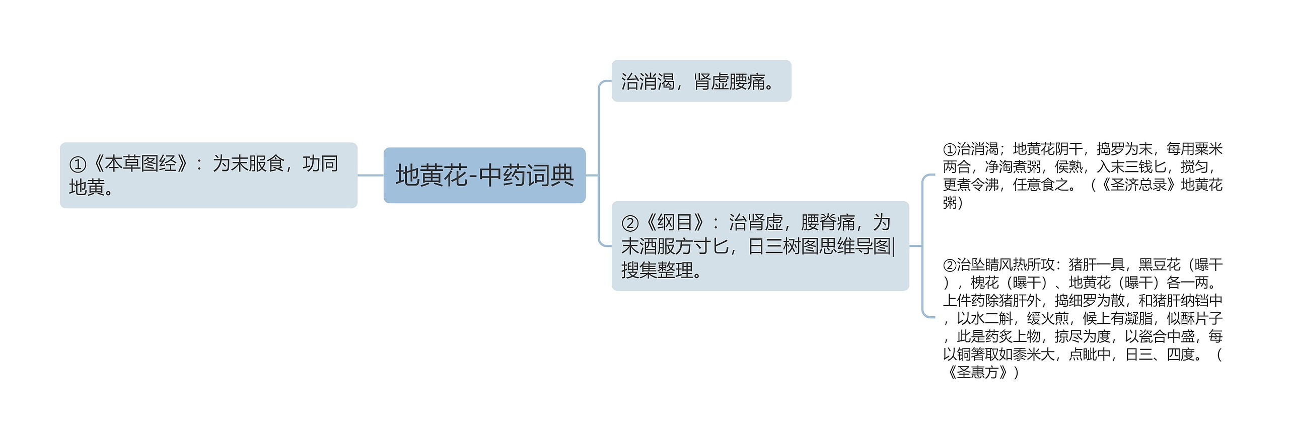 地黄花-中药词典思维导图