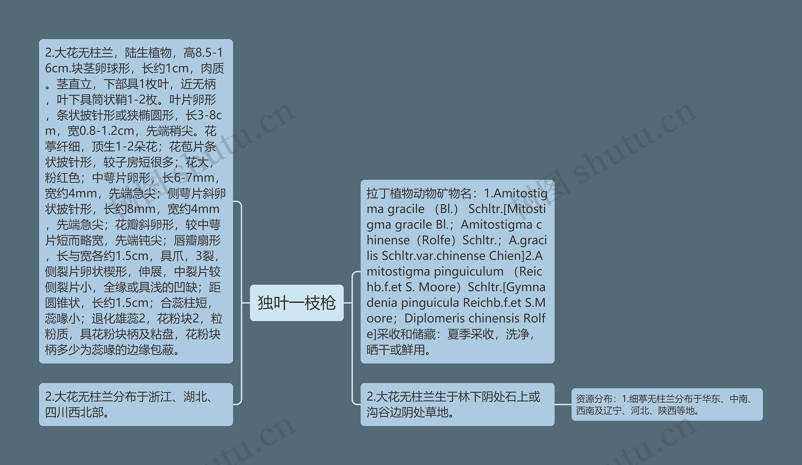 独叶一枝枪思维导图