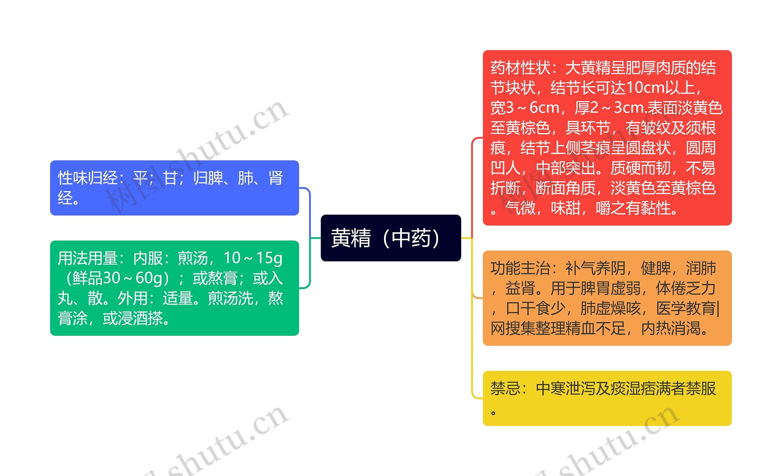 黄精（中药）思维导图