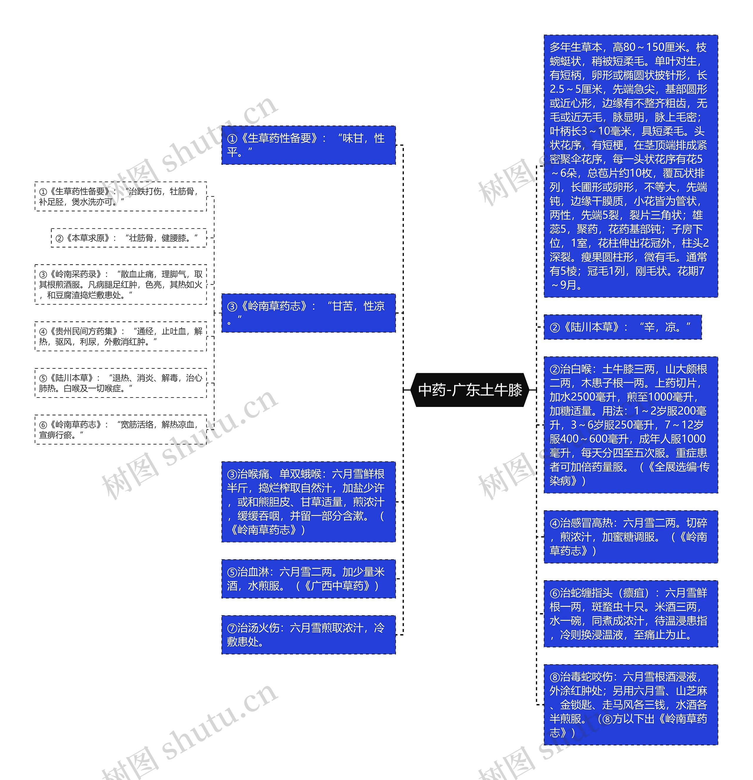 中药-广东土牛膝思维导图