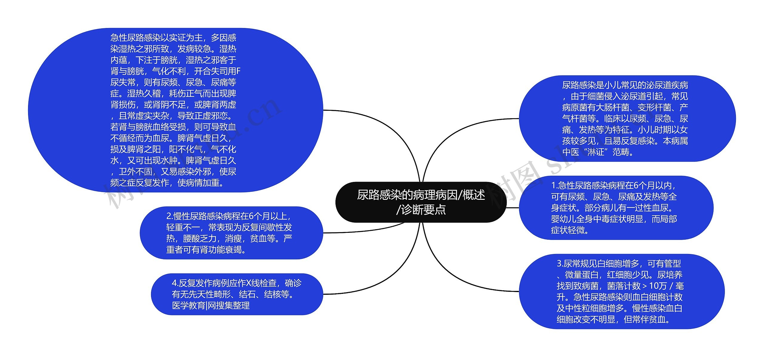 尿路感染的病理病因/概述/诊断要点思维导图