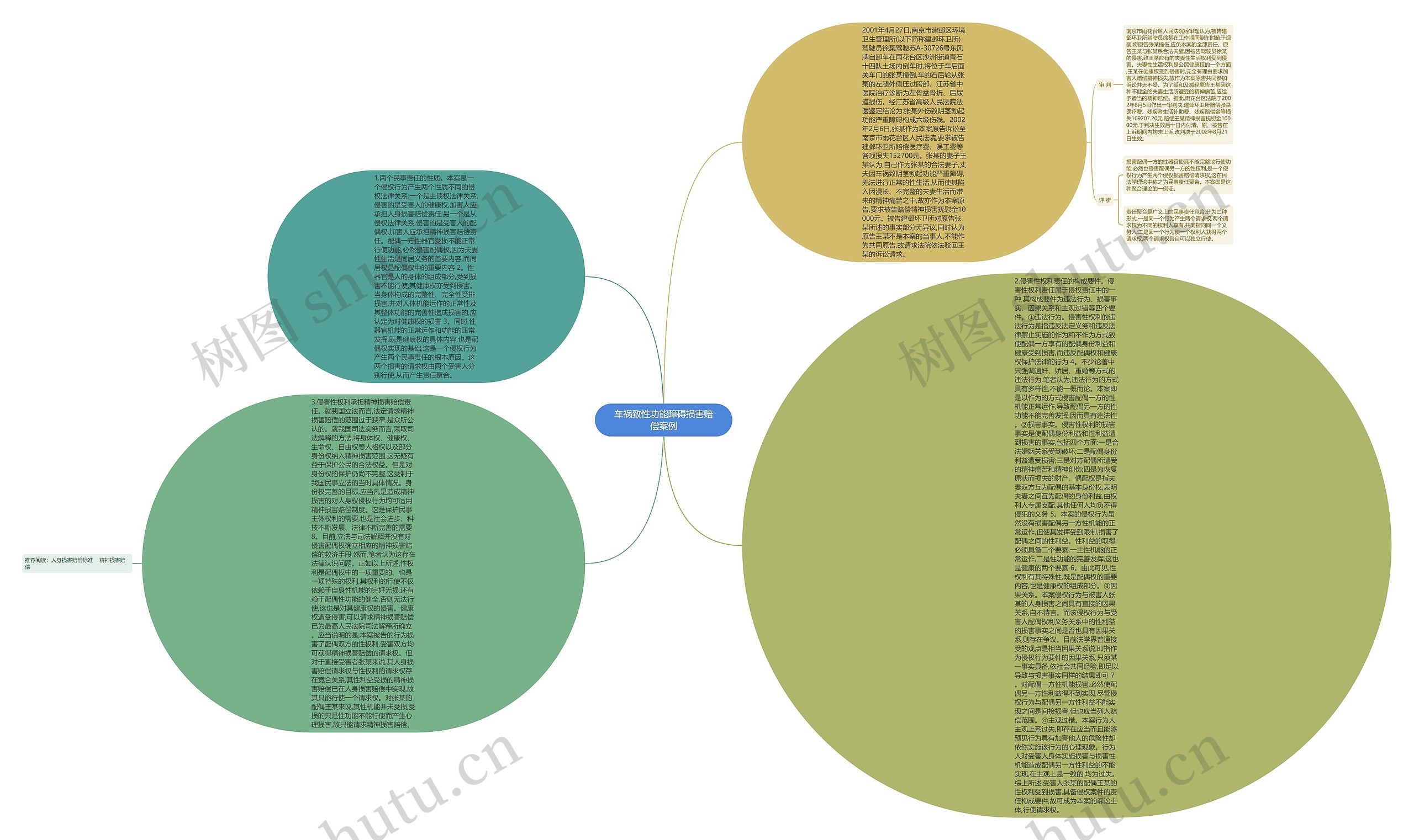 车祸致性功能障碍损害赔偿案例思维导图