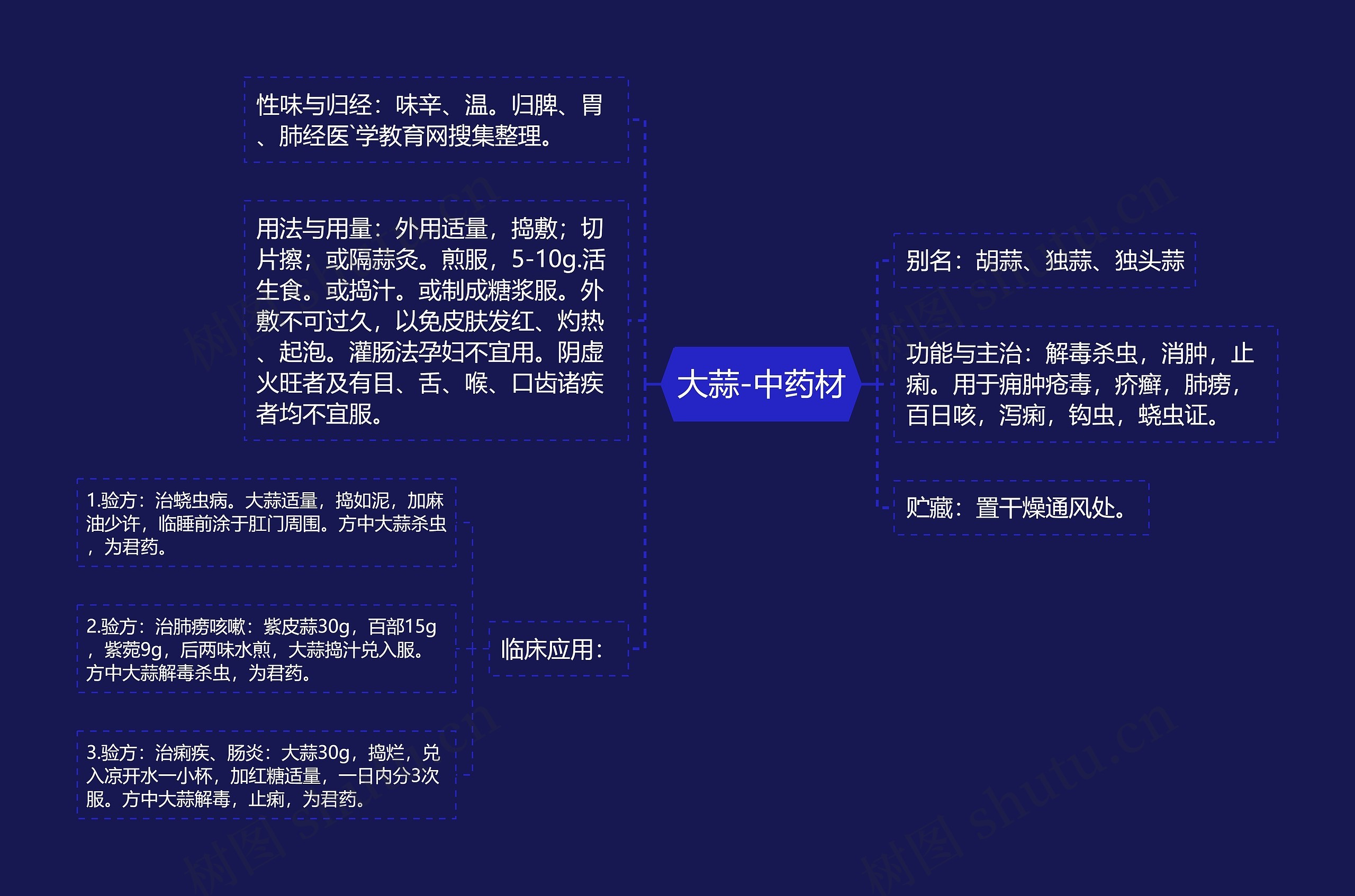 大蒜-中药材思维导图