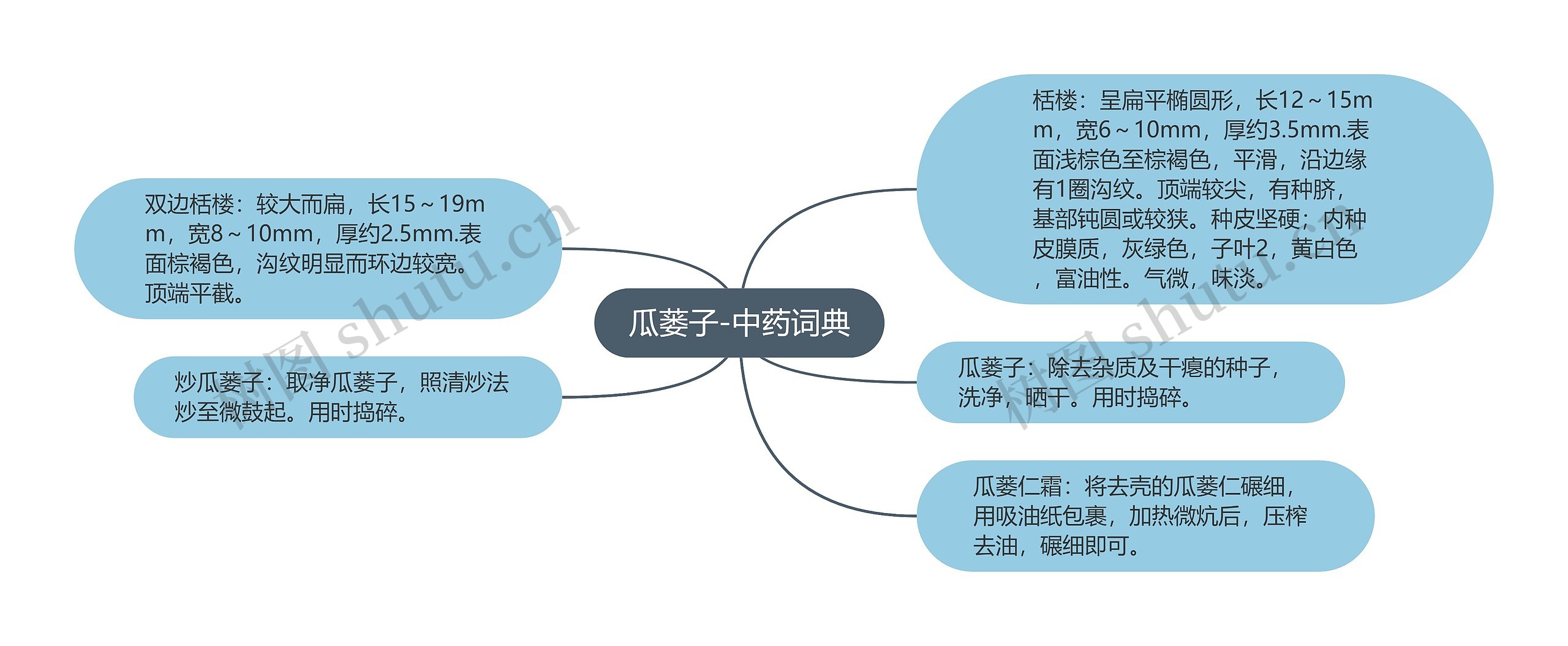 瓜蒌子-中药词典思维导图