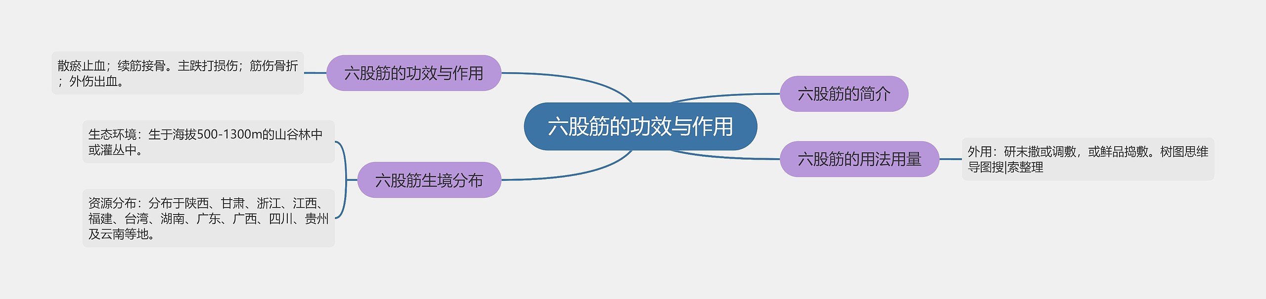 六股筋的功效与作用思维导图