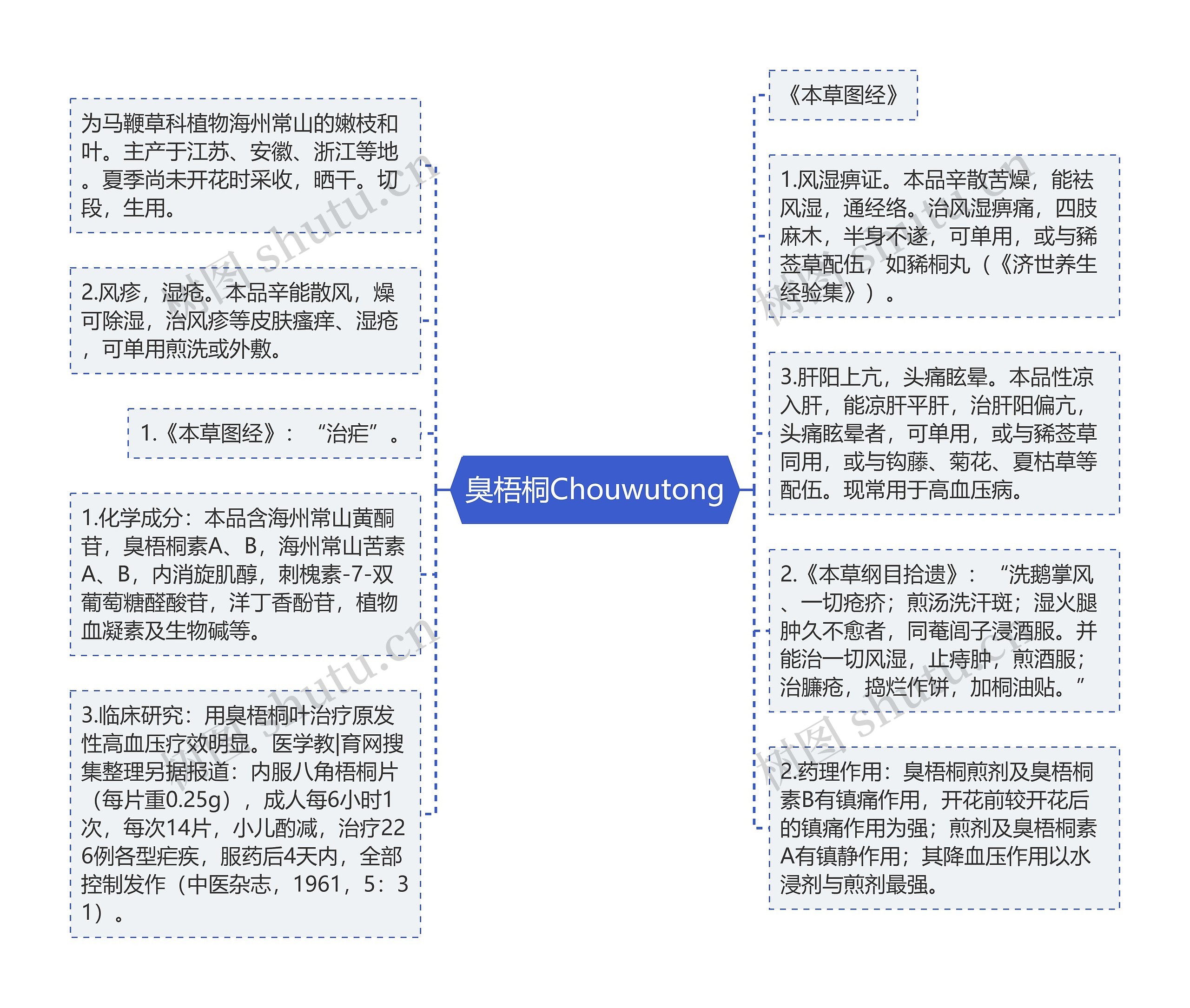 臭梧桐Chouwutong思维导图