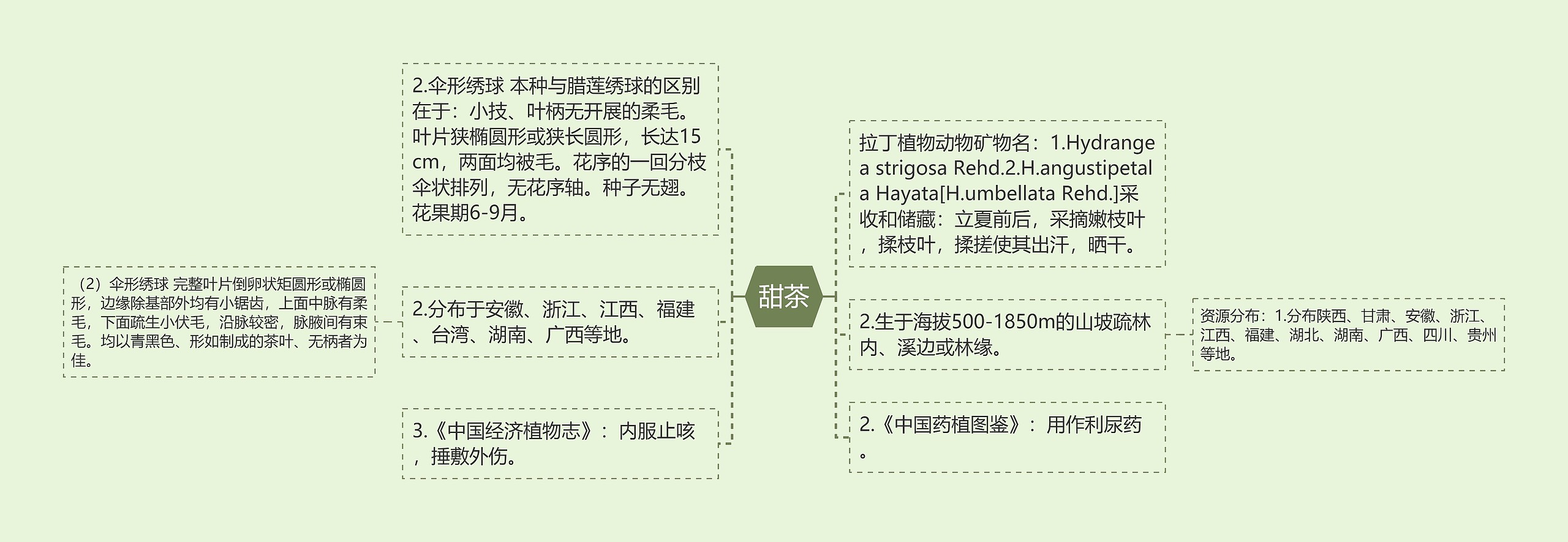 甜茶