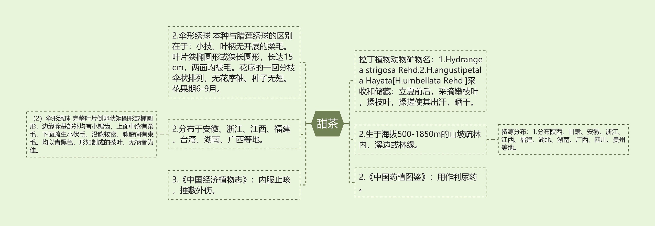 甜茶思维导图