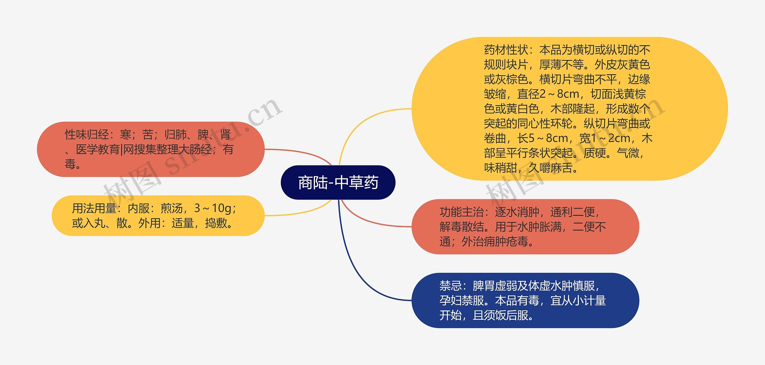 商陆-中草药思维导图