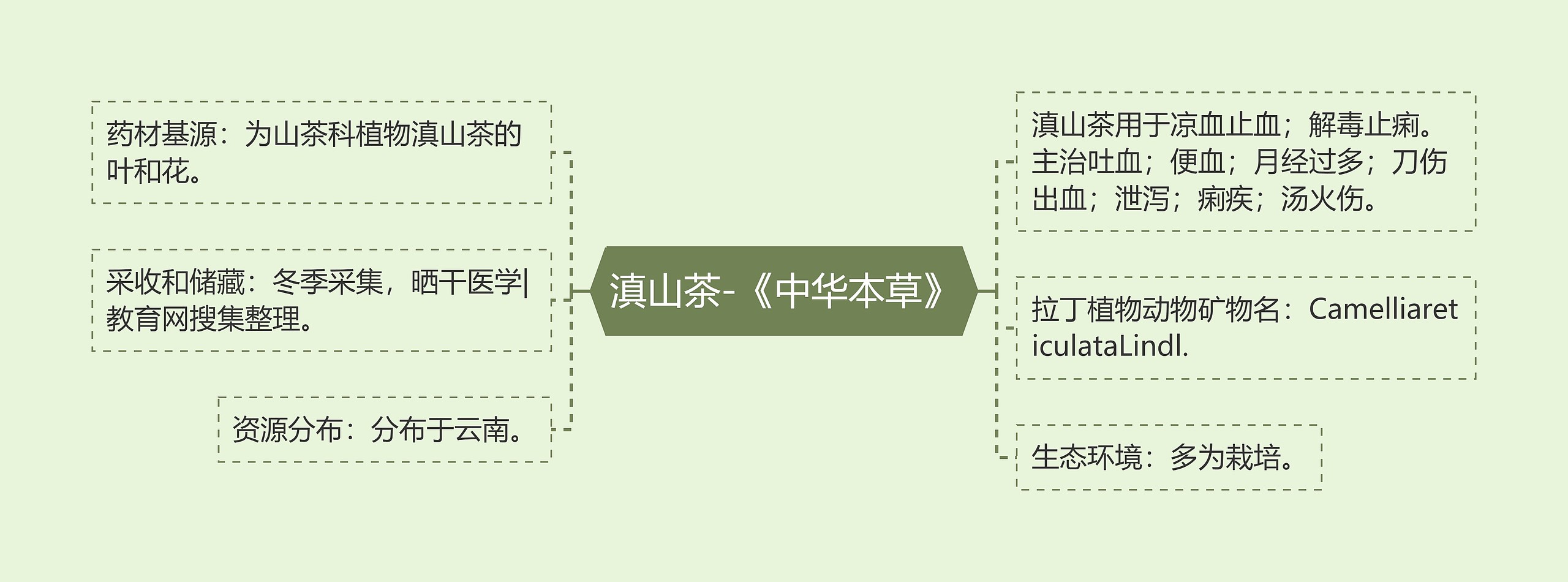 滇山茶-《中华本草》