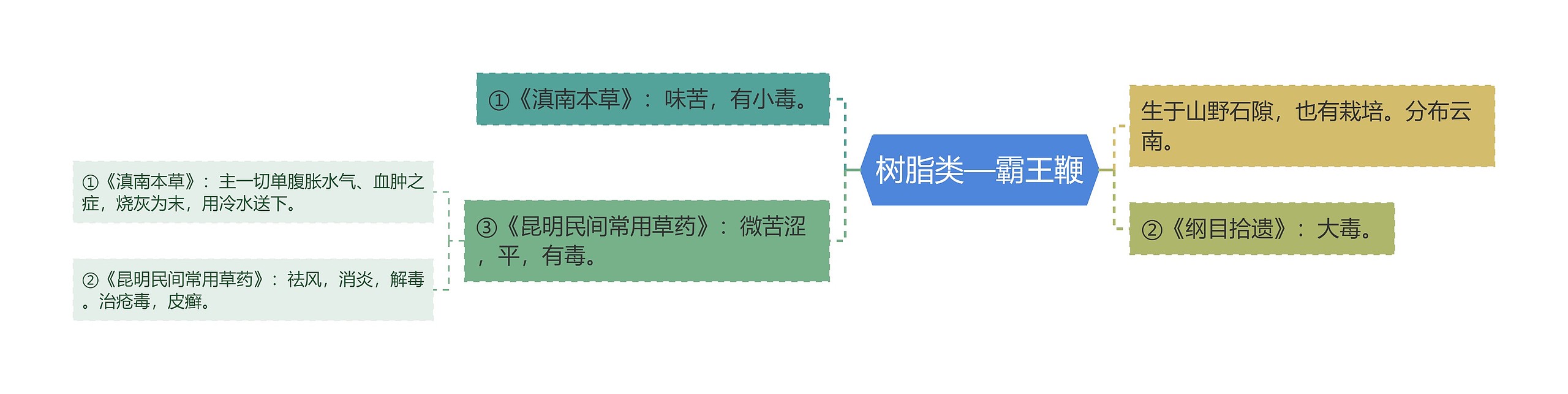 树脂类—霸王鞭思维导图