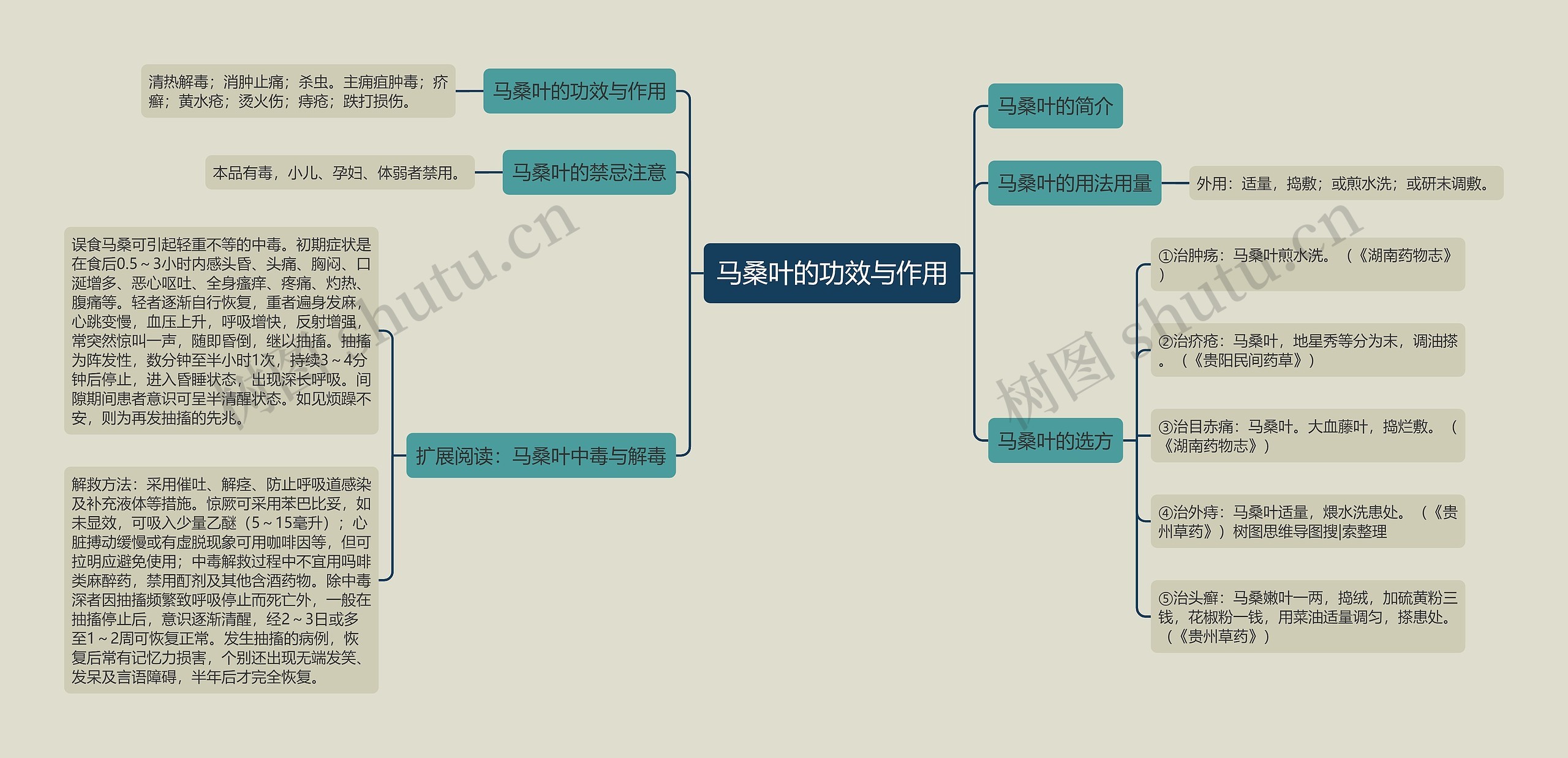 马桑叶的功效与作用 马桑叶的功效与作用