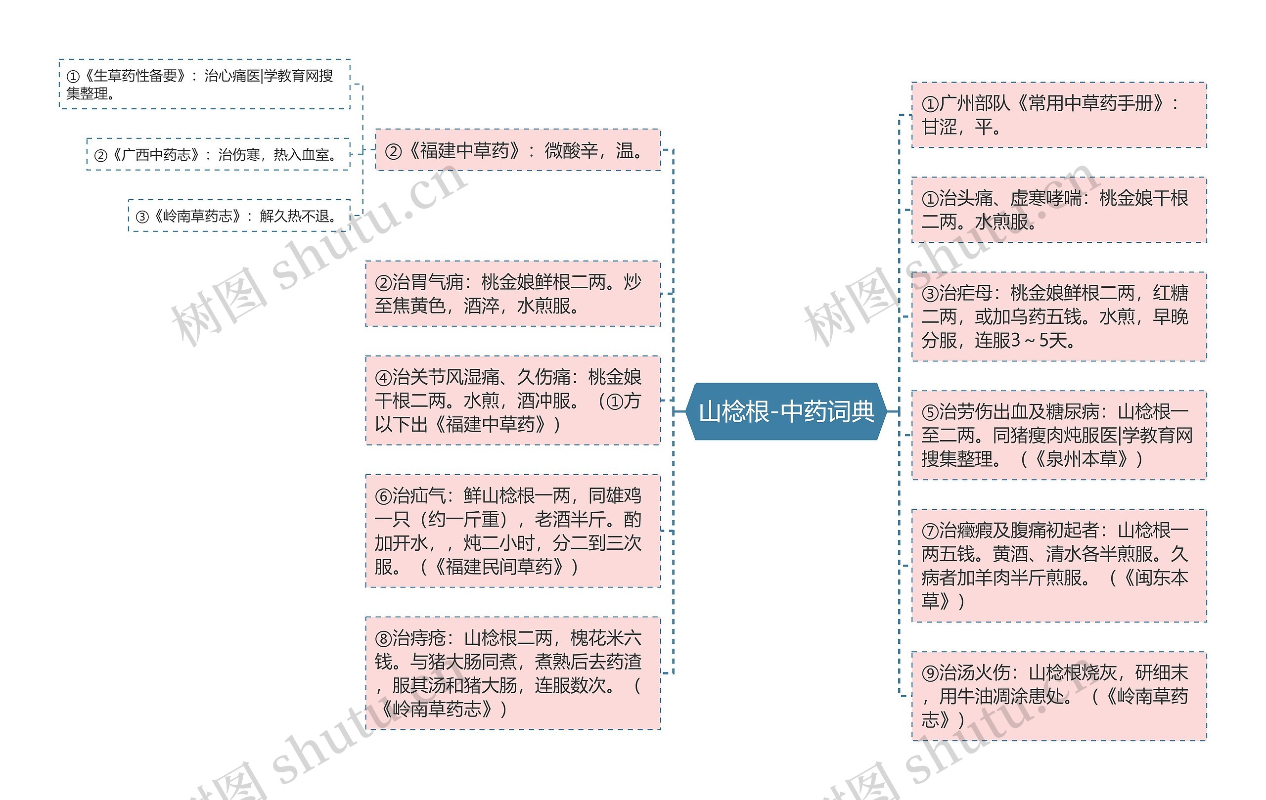 山棯根-中药词典思维导图