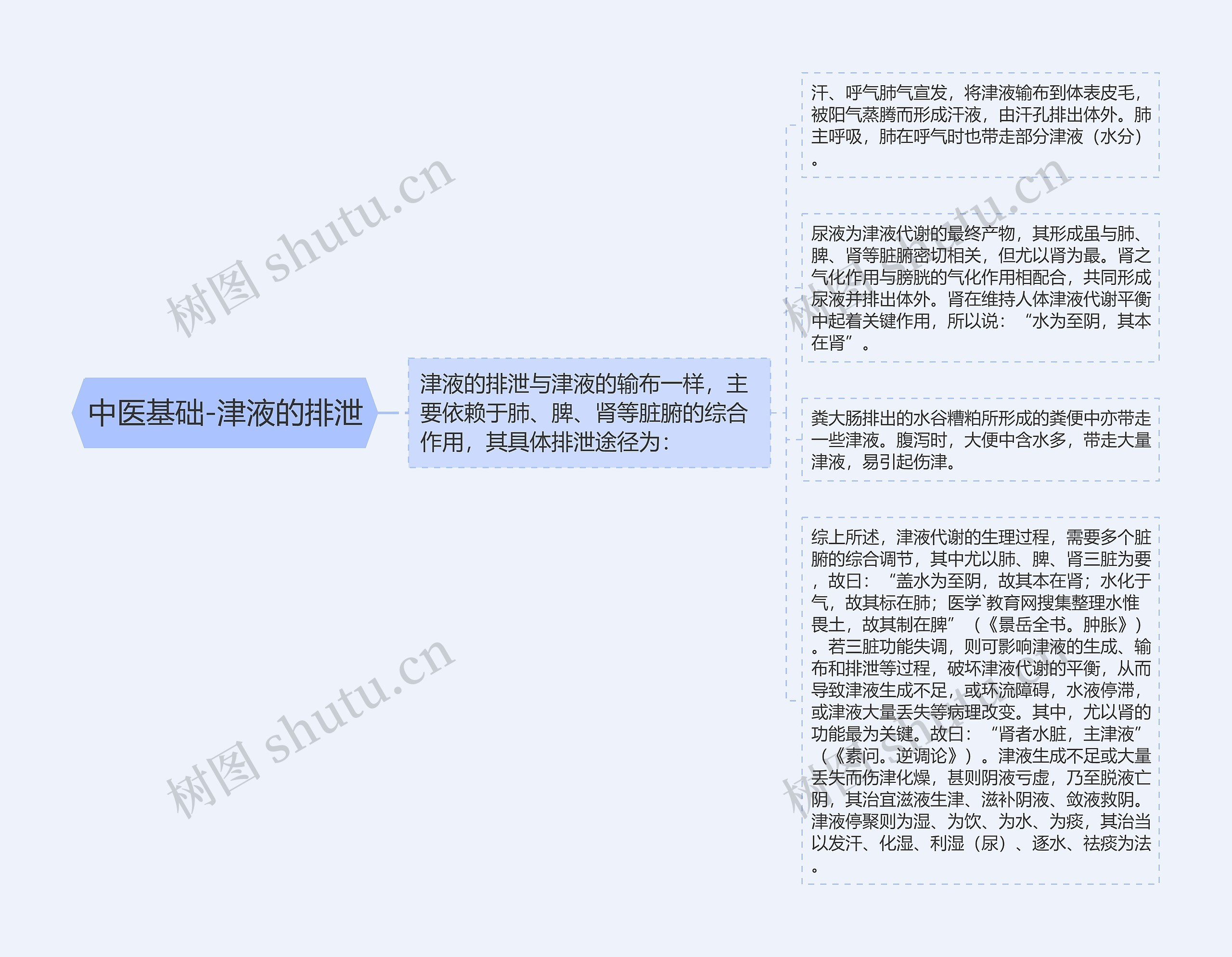 中医基础-津液的排泄思维导图