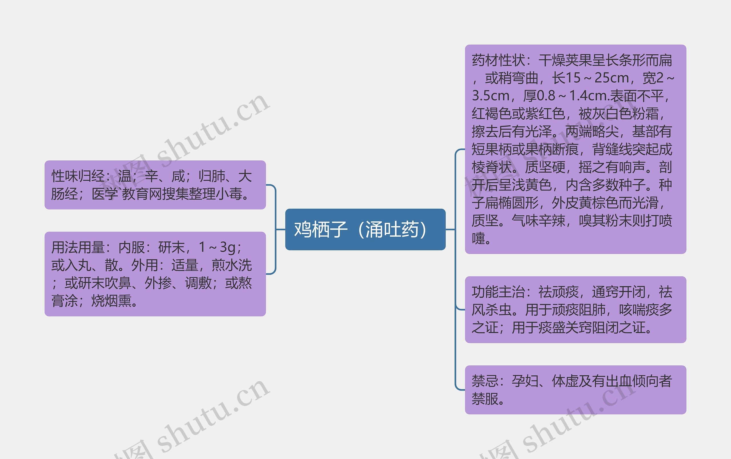 鸡栖子(涌吐药) 鸡栖子(涌吐药)